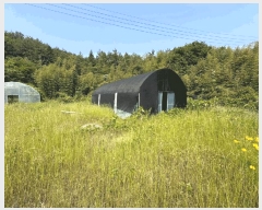  2025Ÿ��394 ���� ���ȱ� ��ź�� ���긮 148      �������