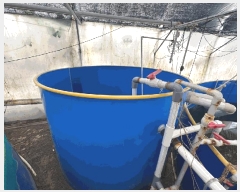  2025Ÿ��394 ���� ���ȱ� ��ź�� ���긮 148      �������