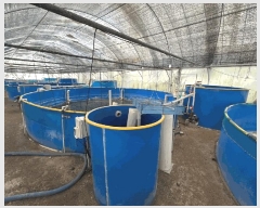  2025Ÿ��394 ���� ���ȱ� ��ź�� ���긮 148      �������