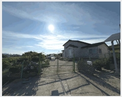  2025Ÿ��416 ���� �žȱ� ������ �ſ븮 68      ���ð��