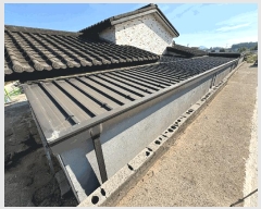  2025Ÿ��416 ���� �žȱ� ������ �ſ븮 68      ���ð��