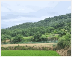  2025Ÿ��445  �����