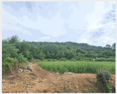  2025Ÿ��445  �����