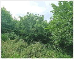  2025Ÿ��445  �����