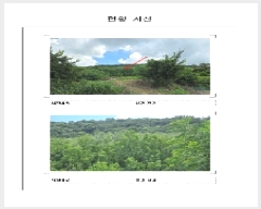  2025Ÿ��445  �����