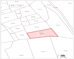  2025Ÿ��445  �����