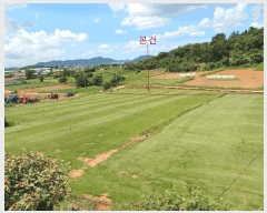  2025Ÿ��466 ���� ���ȱ� �Ϸ��� ��긮 31      ����(��1)���