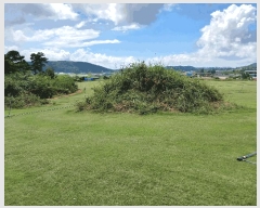  2025Ÿ��466 ���� ���ȱ� �Ϸ��� ��긮 31      ����(��1)���