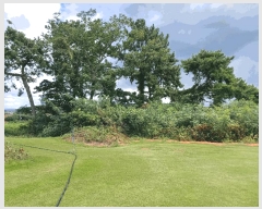  2025Ÿ��466 ���� ���ȱ� �Ϸ��� ��긮 31      ����(��1)���