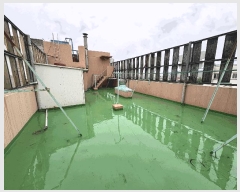  2025Ÿ��474 ���� ������ �� 175-19       ���ڽü�,����,ȣ��,�������