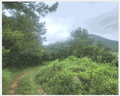  2025Ÿ��483  �Ӿ߰��