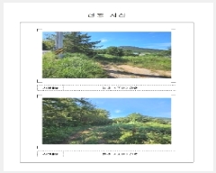  2025Ÿ��483  �Ӿ߰��