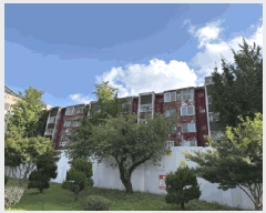  2025Ÿ��497  ����Ʈ���