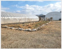  2025Ÿ50057  ȱ  ̸ 835-9      (1)