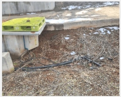  2025Ÿ50057  ȱ  ̸ 835-9      (1)