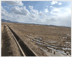  2025Ÿ50385  ȱ Ϸ  1074      ()