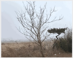  2025Ÿ50385  ȱ Ϸ  1074      ()