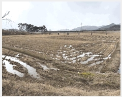  2025Ÿ50385  ȱ Ϸ  1074      ()