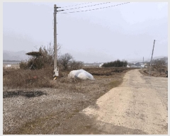  2025Ÿ50385  ȱ Ϸ  1074      ()