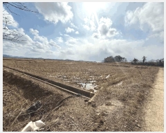  2025Ÿ50385  ȱ Ϸ  1074      ()