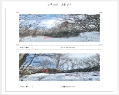  2025Ÿ50439  ϱ   381      (Ӿ)