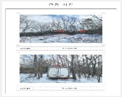  2025Ÿ50439  ϱ   381      (Ӿ)