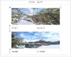  2025Ÿ50439  ϱ   381      (Ӿ)