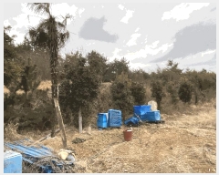  2025Ÿ��50521  ����