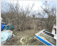  2025Ÿ��50521  ����