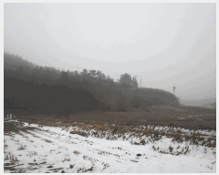  2025Ÿ��50872  �����