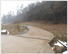  2025Ÿ��50872  �����