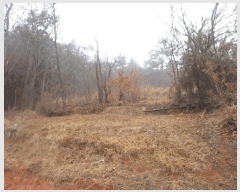  2025Ÿ��50872  �����