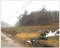  2025Ÿ��50872  �����