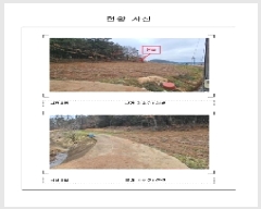  2025Ÿ��50872  �����