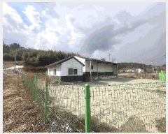  2025Ÿ��50890  â�����