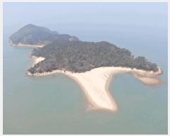  2025Ÿ��50921 ���� �žȱ� ���ڸ� ���긮 ��3-1      ����(�Ӿ�)���