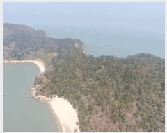  2025Ÿ��50921 ���� �žȱ� ���ڸ� ���긮 ��3-1      ����(�Ӿ�)���