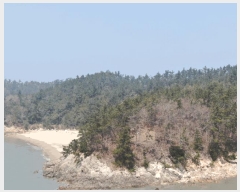  2025Ÿ��50921 ���� �žȱ� ���ڸ� ���긮 ��3-1      ����(�Ӿ�)���