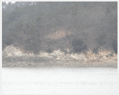  2025Ÿ��50921 ���� �žȱ� ���ڸ� ���긮 ��3-1      ����(�Ӿ�)���