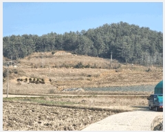  2025Ÿ50937  ȱ  縮 654      (1)