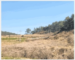  2025Ÿ50937  ȱ  縮 654      (1)