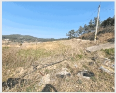  2025Ÿ50937  ȱ  縮 654      (1)