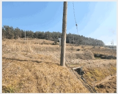  2025Ÿ50937  ȱ  縮 654      (1)