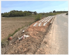  2025Ÿ��51046  �Ӿ߰��