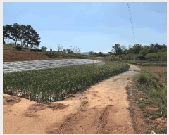  2025Ÿ��51046  �Ӿ߰��