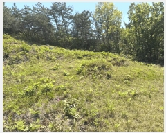  2025Ÿ��51046  �Ӿ߰��