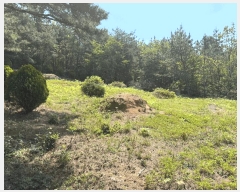  2025Ÿ��51046  �Ӿ߰��