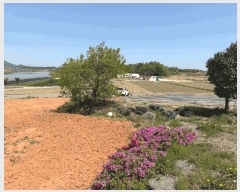  2025Ÿ��51046  �Ӿ߰��