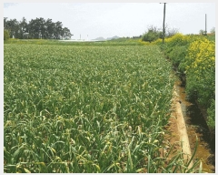  2025Ÿ��51057  �����