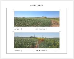  2025Ÿ��51057  �����